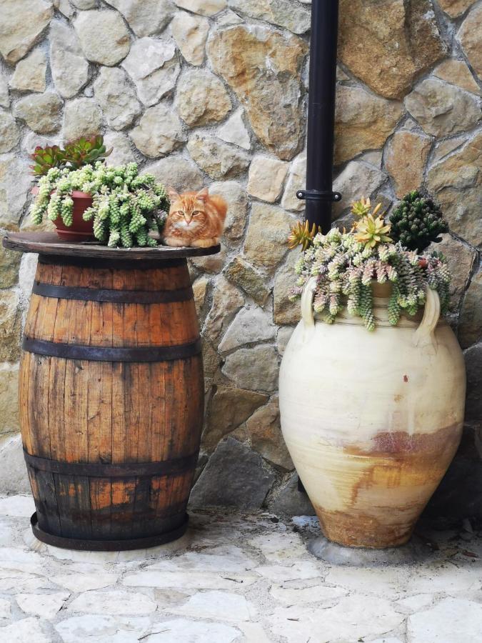 Casa de Férias Delizia Scopello (Sicily)